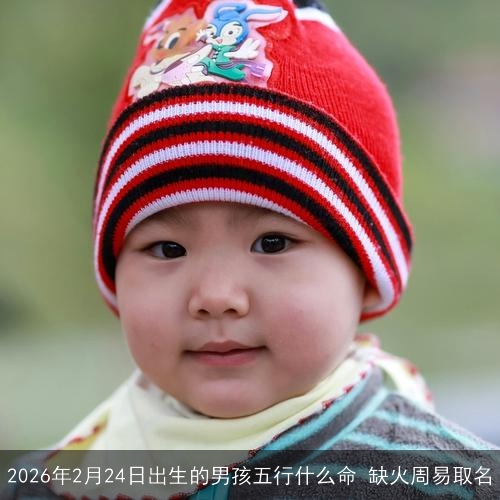 2026年2月24日出生的男孩五行什么命 缺火周易取名