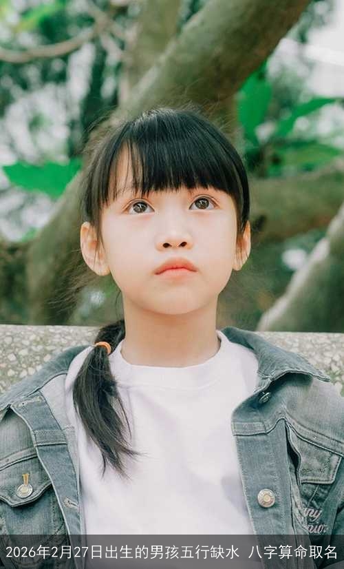 2026年2月27日出生的男孩五行缺水 八字算命取名