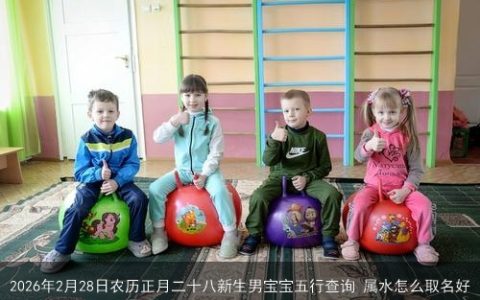 2026年2月28日农历正月二十八新生男宝宝五行查询 属水怎么取名好