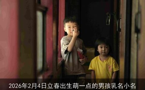 2026年2月4日立春出生萌一点的男孩乳名小名