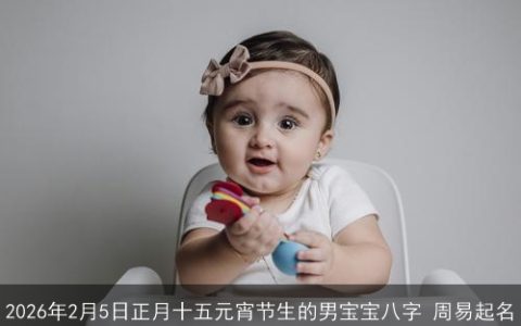 2026年2月5日正月十五元宵节生的男宝宝八字 周易起名