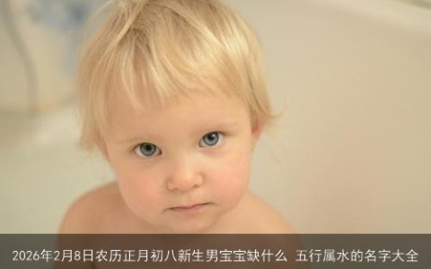 2026年2月8日农历正月初八新生男宝宝缺什么 五行属水的名字大全