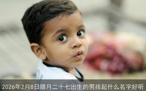 2026年2月8日腊月二十七出生的男孩起什么名字好听