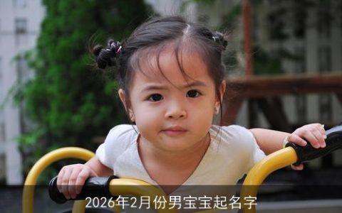 2026年2月份男宝宝起名字