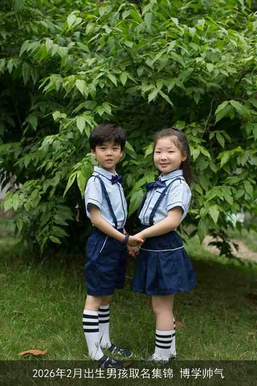 2026年2月出生男孩取名集锦 博学帅气