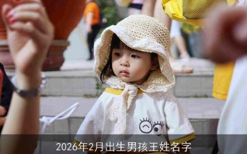 2026年2月出生男孩王姓名字