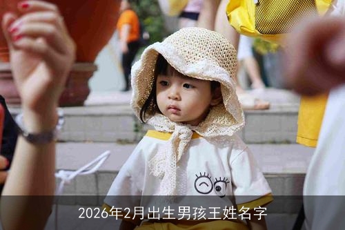 2026年2月出生男孩王姓名字