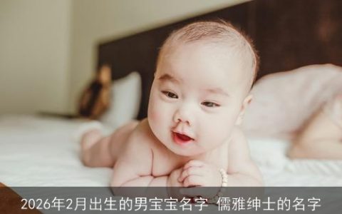 2026年2月出生的男宝宝名字 儒雅绅士的名字