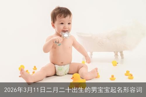 2026年3月11日二月二十出生的男宝宝起名形容词