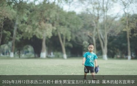 2026年3月12日农历二月初十新生男宝宝五行八字解读 属木的起名宜用字