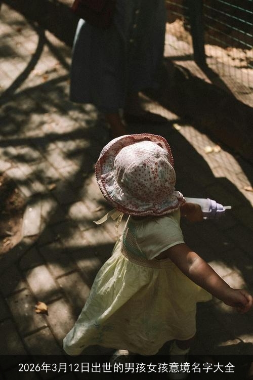 2026年3月12日出世的男孩女孩意境名字大全