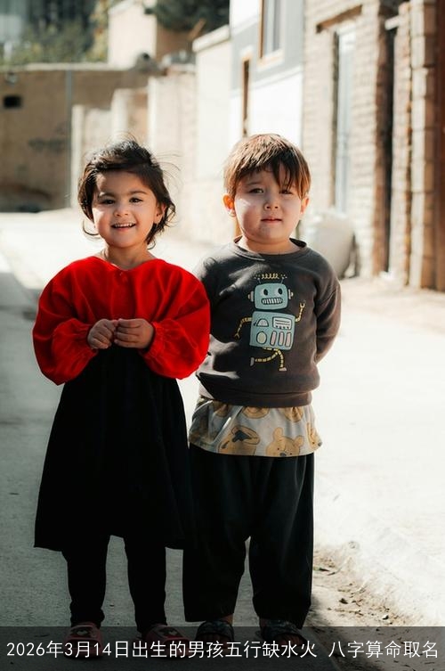 2026年3月14日出生的男孩五行缺水火 八字算命取名