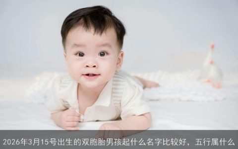 2026年3月15号出生的双胞胎男孩起什么名字比较好，五行属什么