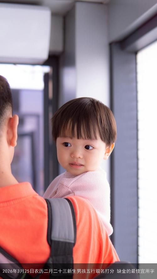 2026年3月25日农历二月二十三新生男孩五行取名打分 缺金的最佳宜用字