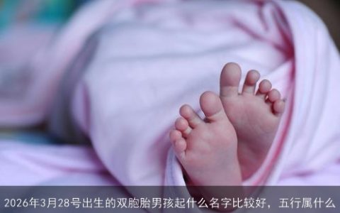 2026年3月28号出生的双胞胎男孩起什么名字比较好，五行属什么