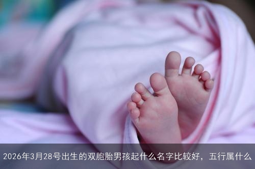 2026年3月28号出生的双胞胎男孩起什么名字比较好，五行属什么