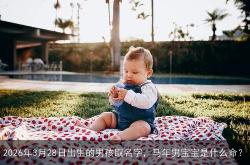 2026年3月28日出生的男孩取名字，马年男宝宝是什么命？