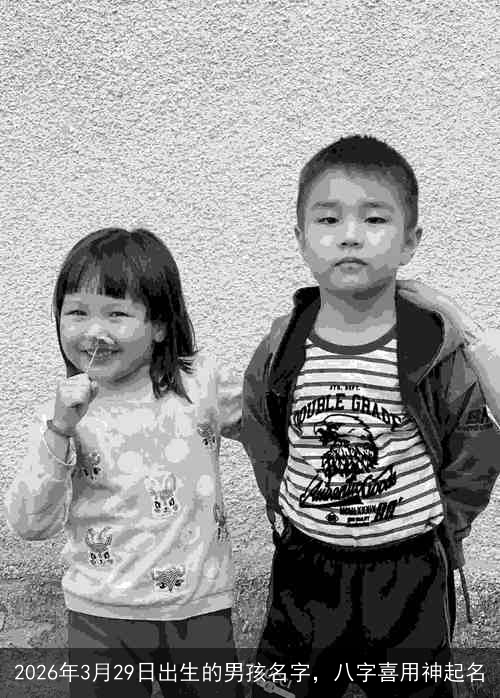 2026年3月29日出生的男孩名字，八字喜用神起名