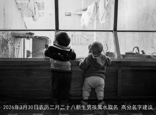 2026年3月30日农历二月二十八新生男孩属水取名 高分名字建议