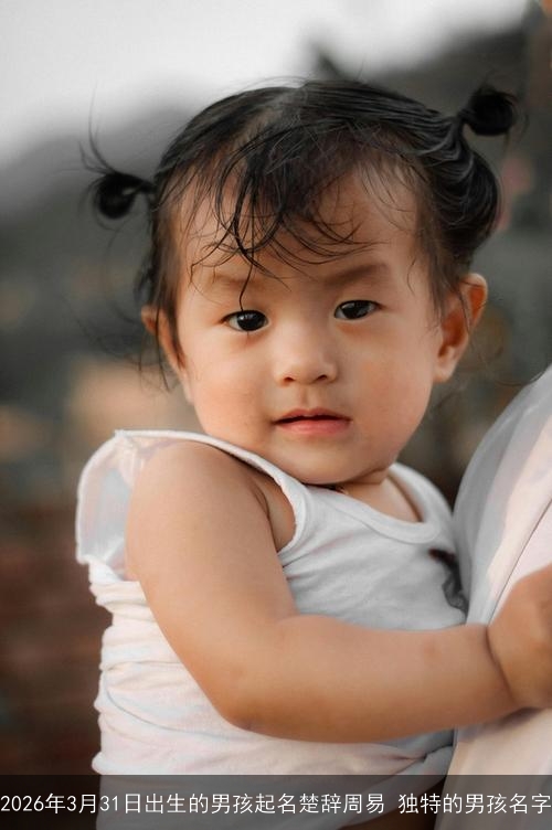 2026年3月31日出生的男孩起名楚辞周易 独特的男孩名字