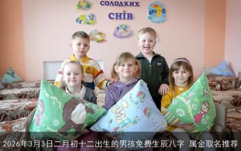 2026年3月3日二月初十二出生的男孩免费生辰八字 属金取名推荐