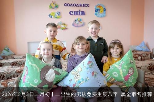 2026年3月3日二月初十二出生的男孩免费生辰八字 属金取名推荐