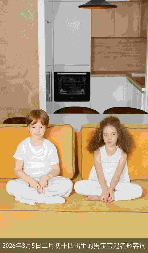 2026年3月5日二月初十四出生的男宝宝起名形容词