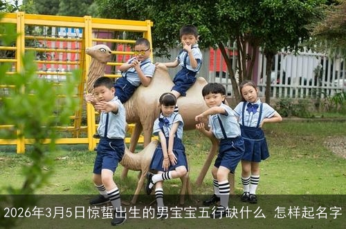 2026年3月5日惊蜇出生的男宝宝五行缺什么 怎样起名字