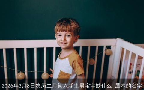 2026年3月8日农历二月初六新生男宝宝缺什么 属木的名字