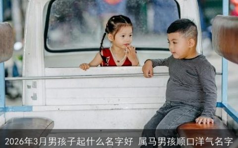 2026年3月男孩子起什么名字好 属马男孩顺口洋气名字