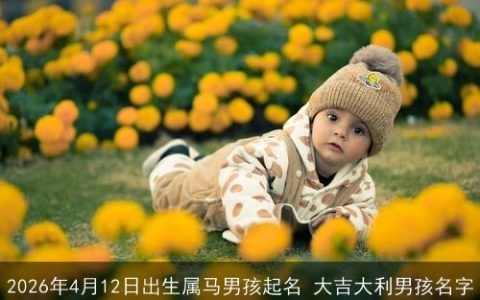 2026年4月12日出生属马男孩起名 大吉大利男孩名字
