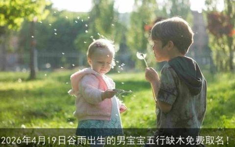 2026年4月19日谷雨出生的男宝宝五行缺木免费取名！