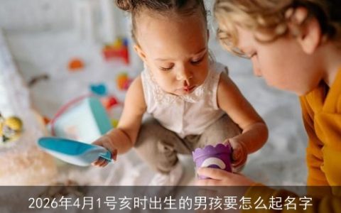 2026年4月1号亥时出生的男孩要怎么起名字