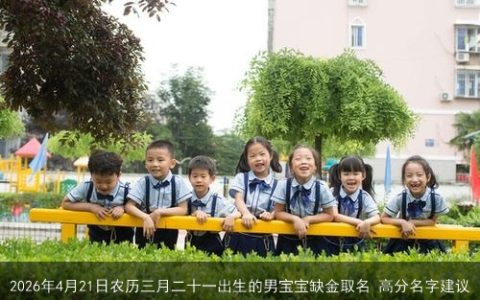 2026年4月21日农历三月二十一出生的男宝宝缺金取名 高分名字建议
