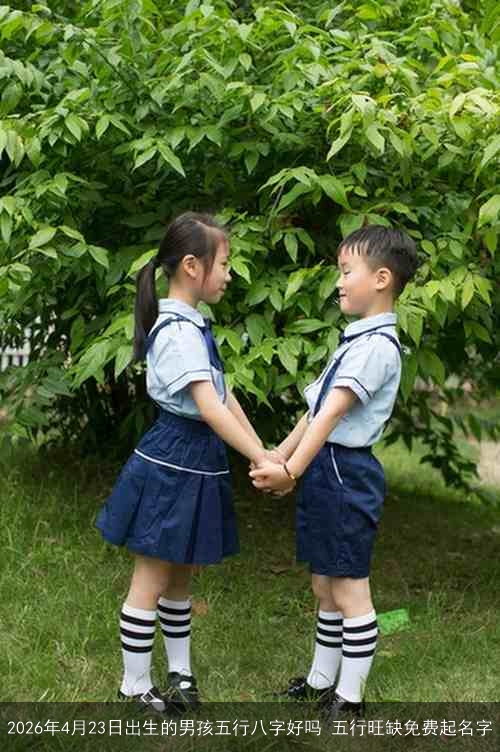 2026年4月23日出生的男孩五行八字好吗 五行旺缺免费起名字