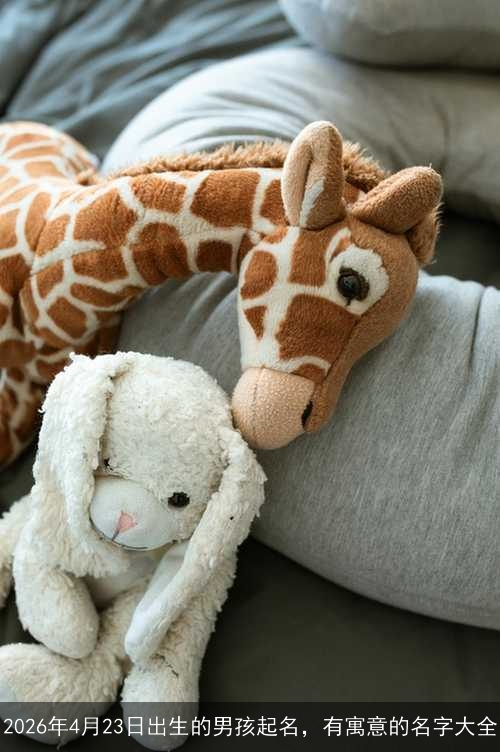 2026年4月23日出生的男孩起名，有寓意的名字大全