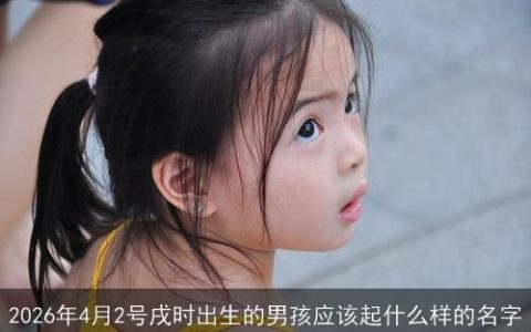 2026年4月2号戌时出生的男孩应该起什么样的名字