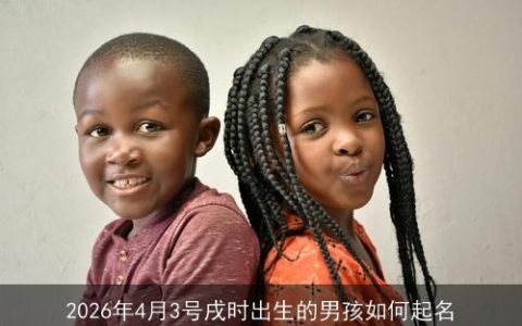 2026年4月3号戌时出生的男孩如何起名