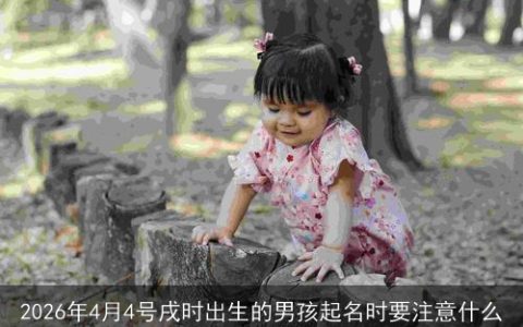 2026年4月4号戌时出生的男孩起名时要注意什么