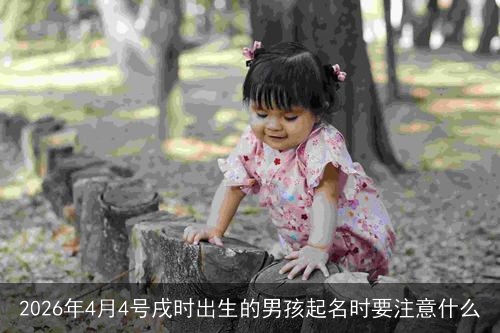 2026年4月4号戌时出生的男孩起名时要注意什么
