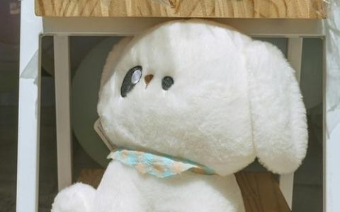 2026年4月出生的马宝宝取名 男孩女孩取名宜用字