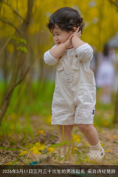2026年5月11日三月三十出生的男孩起名 采自诗经楚辞