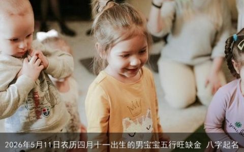 2026年5月11日农历四月十一出生的男宝宝五行旺缺金 八字起名