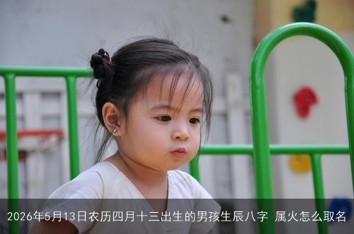 2026年5月13日农历四月十三出生的男孩生辰八字 属火怎么取名