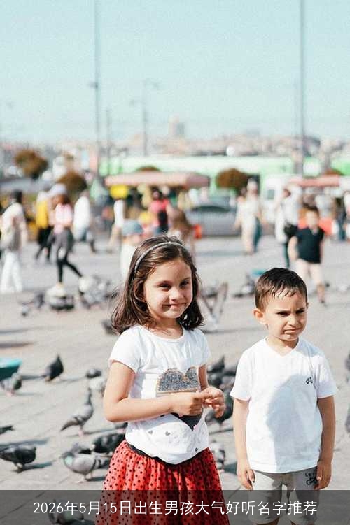 2026年5月15日出生男孩大气好听名字推荐