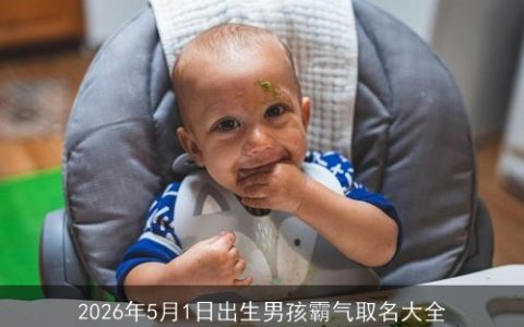 2026年5月1日出生男孩霸气取名大全