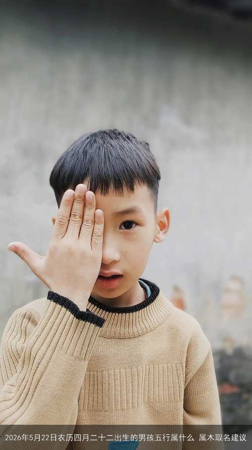 2026年5月22日农历四月二十二出生的男孩五行属什么 属木取名建议