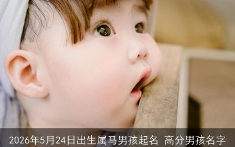 2026年5月24日出生属马男孩起名 高分男孩名字