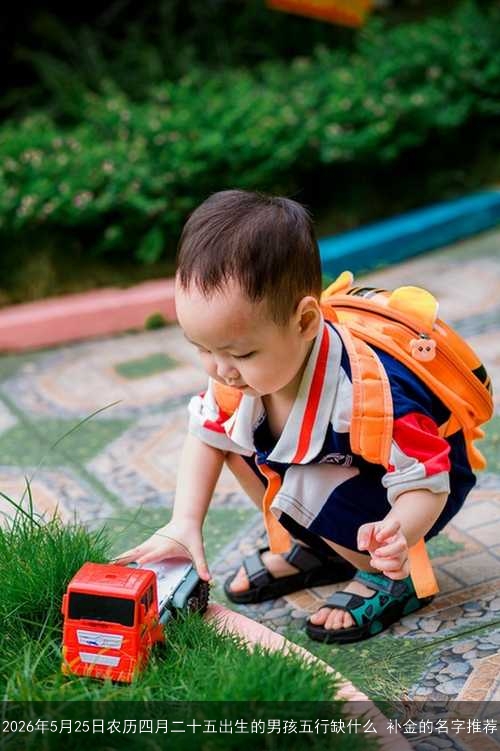 2026年5月25日农历四月二十五出生的男孩五行缺什么 补金的名字推荐