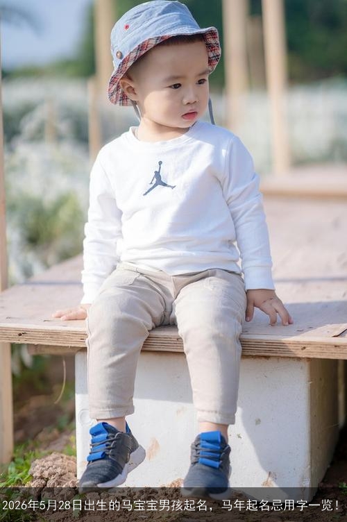 2026年5月28日出生的马宝宝男孩起名，马年起名忌用字一览！